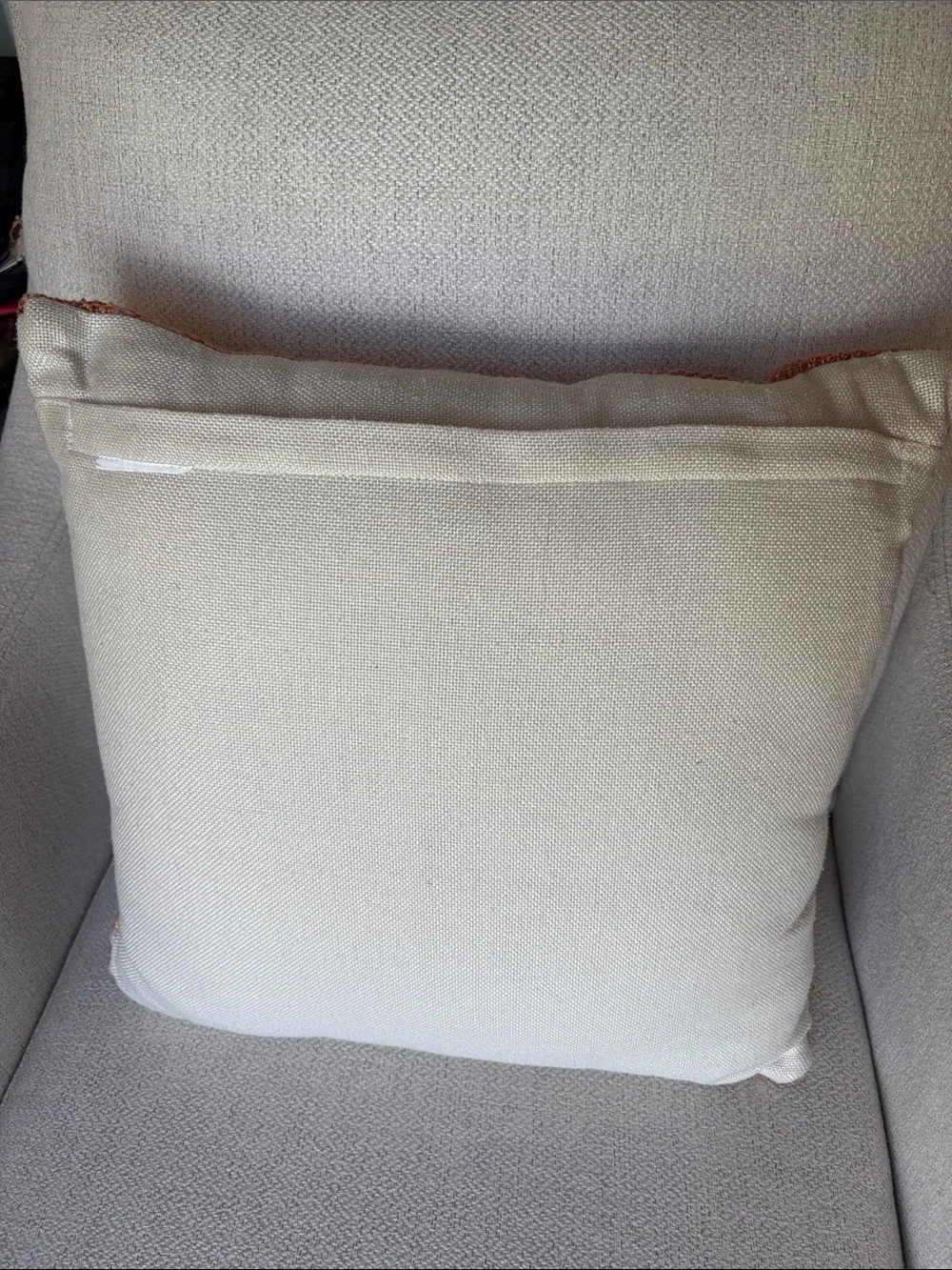 World Market Decorative Throw Pillow